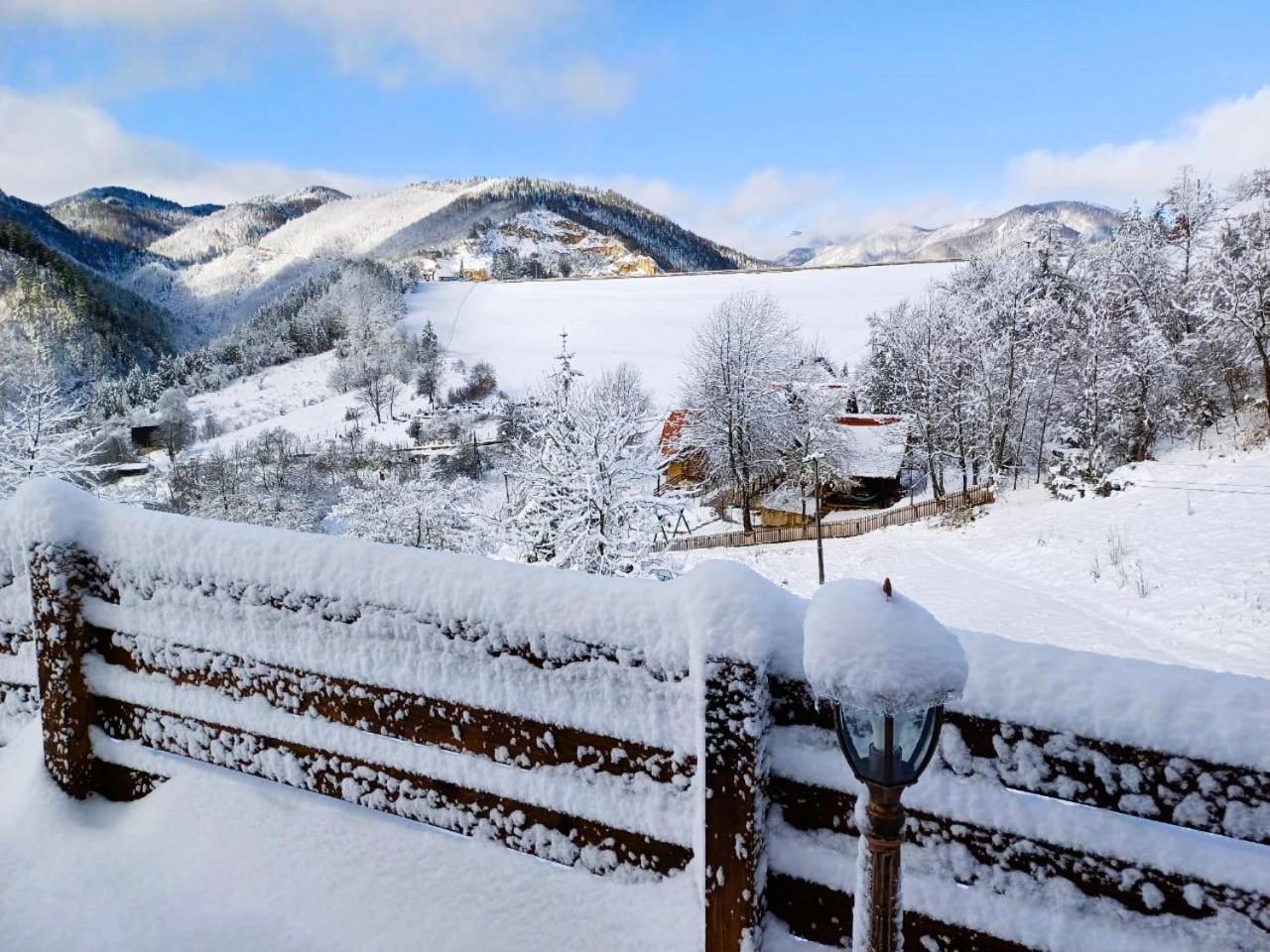 Drvene Kuce Suska Villa Zaovine Værelse billede