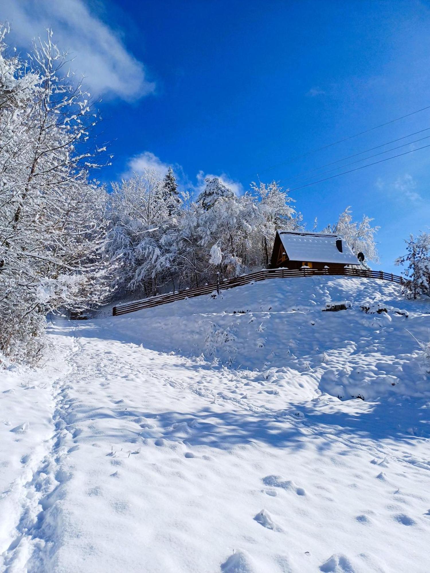 Drvene Kuce Suska - Wooden Houses Suska Zaovine Værelse billede